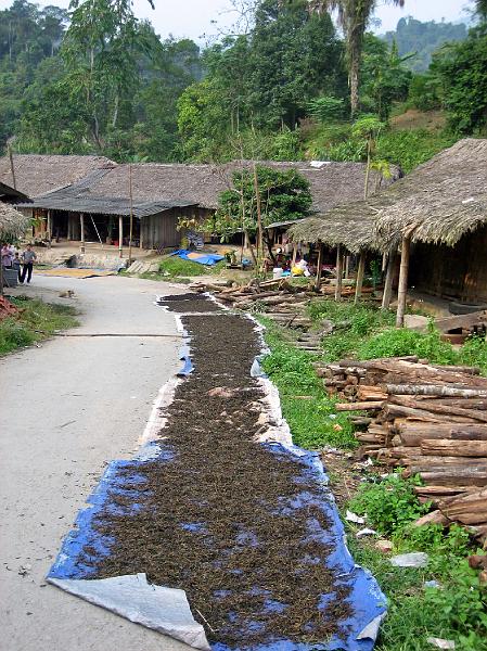 2006-10-30-09-17-51_289 Tea drying in road.JPG